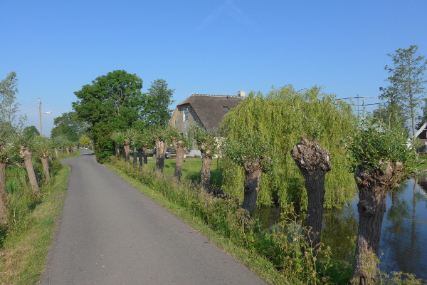 Landweg met boerderij in Stolwijk